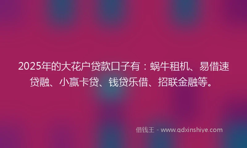 2025年的大花户贷款口子有：蜗牛租机、易借速贷融、小赢卡贷、钱贷乐借、招联金融等。