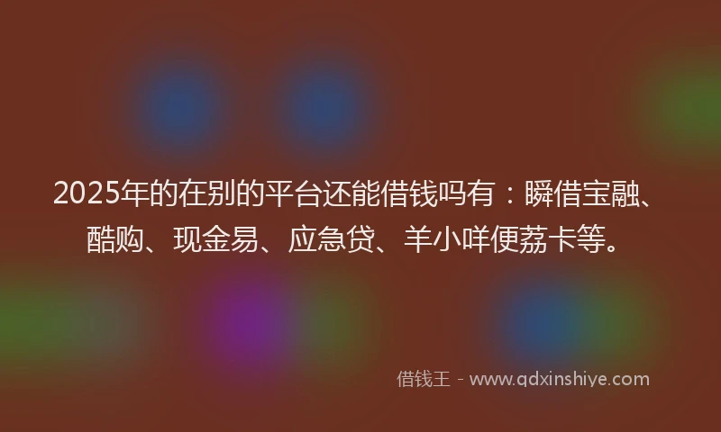2025年的在别的平台还能借钱吗有：瞬借宝融、酷购、现金易、应急贷、羊小咩便荔卡等。