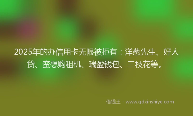 2025年的办信用卡无限被拒有：洋葱先生、好人贷、蛮想购租机、瑞盈钱包、三枝花等。