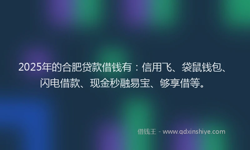 2025年的合肥贷款借钱有：信用飞、袋鼠钱包、闪电借款、现金秒融易宝、够享借等。
