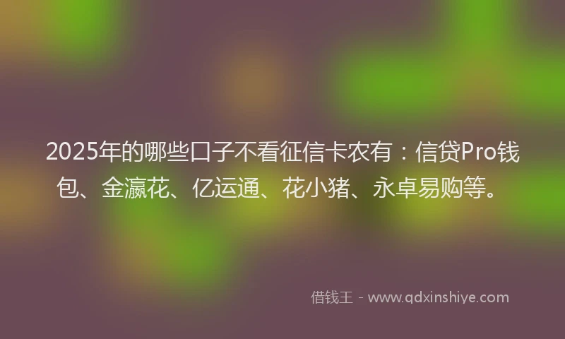2025年的哪些口子不看征信卡农有：信贷Pro钱包、金瀛花、亿运通、花小猪、永卓易购等。