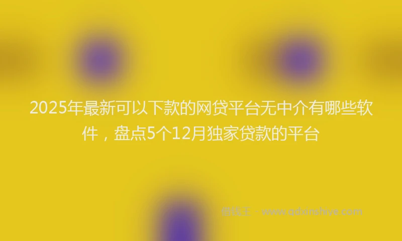 2025年最新可以下款的网贷平台无中介有哪些软件，盘点5个12月独家贷款的平台