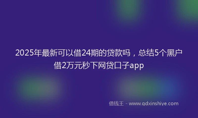 2025年最新可以借24期的贷款吗，总结5个黑户借2万元秒下网贷口子app