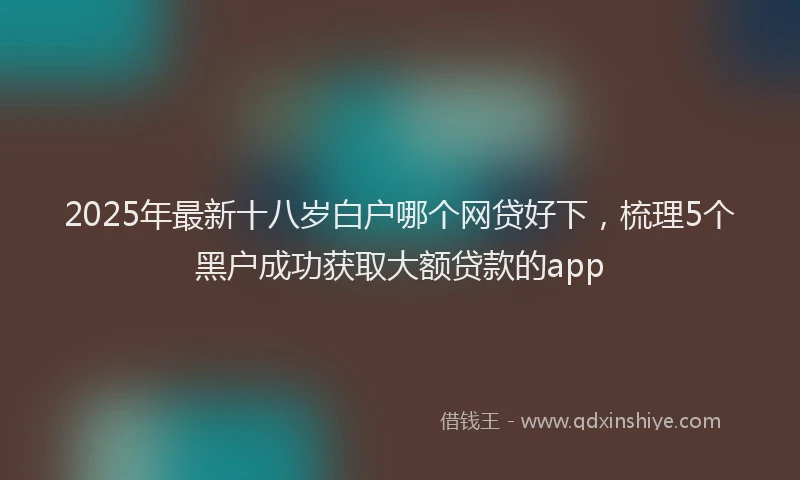 2025年最新十八岁白户哪个网贷好下，梳理5个黑户成功获取大额贷款的app