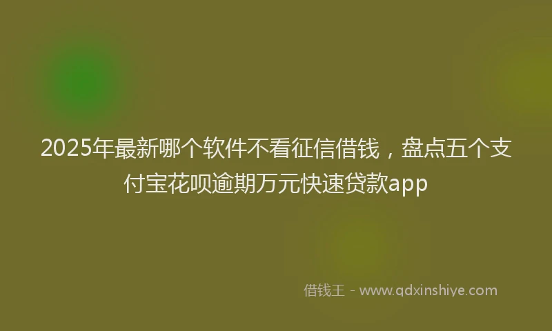 2025年最新哪个软件不看征信借钱，盘点五个支付宝花呗逾期万元快速贷款app
