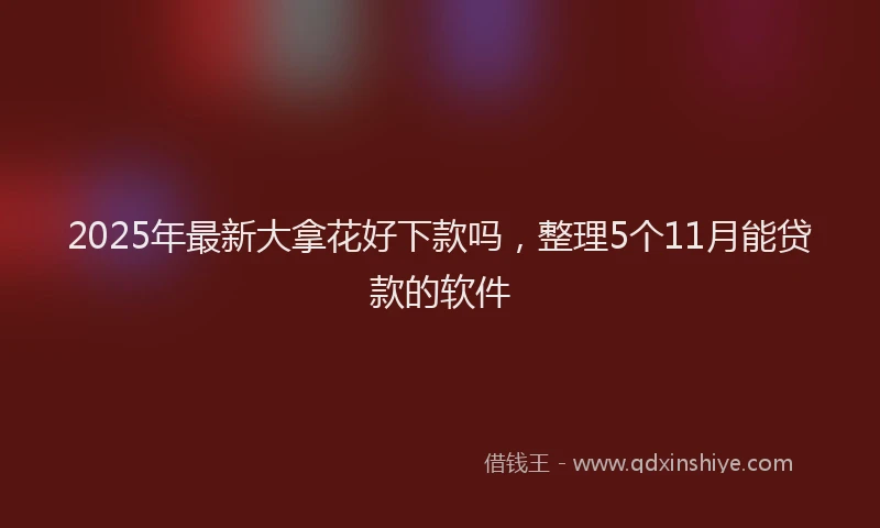 2025年最新大拿花好下款吗，整理5个11月能贷款的软件