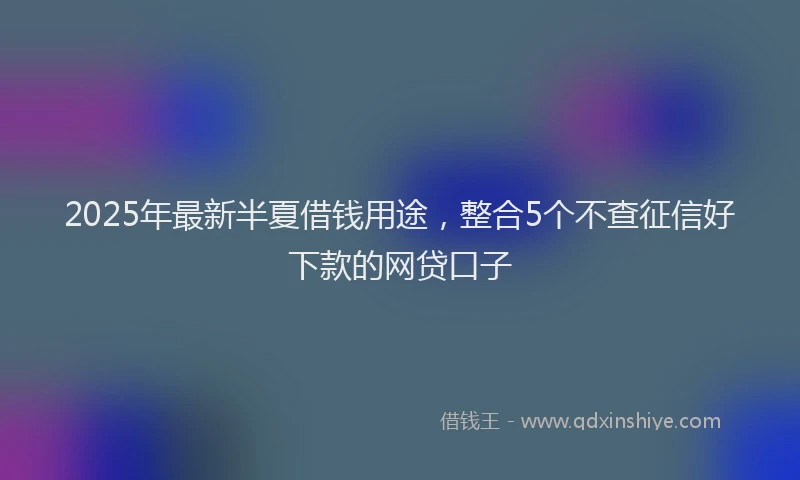 2025年最新半夏借钱用途，整合5个不查征信好下款的网贷口子