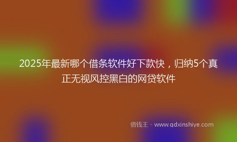 2025年最新哪个借条软件好下款快，归纳5个真正无视风控黑白的网贷软件