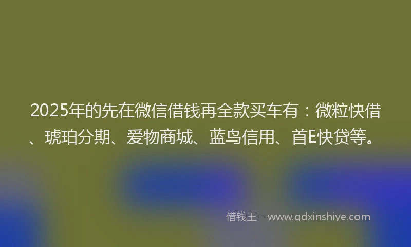 2025年的先在微信借钱再全款买车有：微粒快借、琥珀分期、爱物商城、蓝鸟信用、首E快贷等。