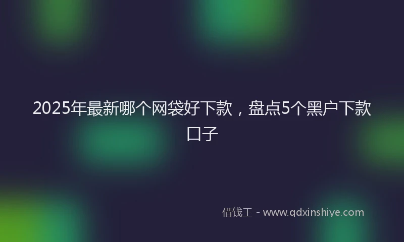 2025年最新哪个网袋好下款，盘点5个黑户下款口子