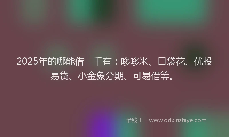 2025年的哪能借一千有：哆哆米、口袋花、优投易贷、小金象分期、可易借等。