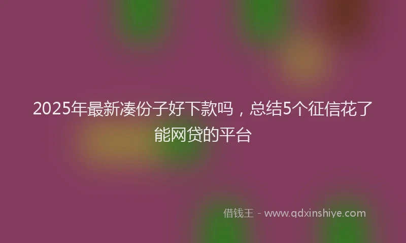 2025年最新凑份子好下款吗，总结5个征信花了能网贷的平台