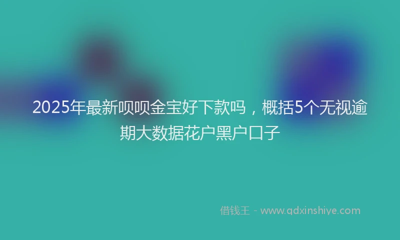 2025年最新呗呗金宝好下款吗，概括5个无视逾期大数据花户黑户口子