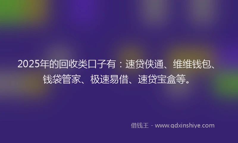 2025年的回收类口子有：速贷侠通、维维钱包、钱袋管家、极速易借、速贷宝盒等。