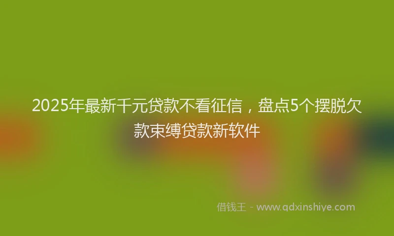 2025年最新千元贷款不看征信，盘点5个摆脱欠款束缚贷款新软件