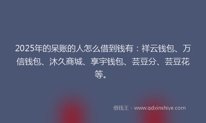 2025年的呆账的人怎么借到钱有：祥云钱包、万信钱包、沐久商城、享宇钱包、芸豆分、芸豆花等。