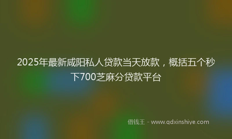 2025年最新咸阳私人贷款当天放款，概括五个秒下700芝麻分贷款平台