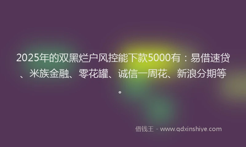 2025年的双黑烂户风控能下款5000有：易借速贷、米族金融、零花罐、诚信一周花、新浪分期等。