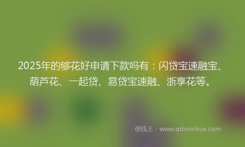 2025年的够花好申请下款吗有：闪贷宝速融宝、葫芦花、一起贷、易贷宝速融、浙享花等。