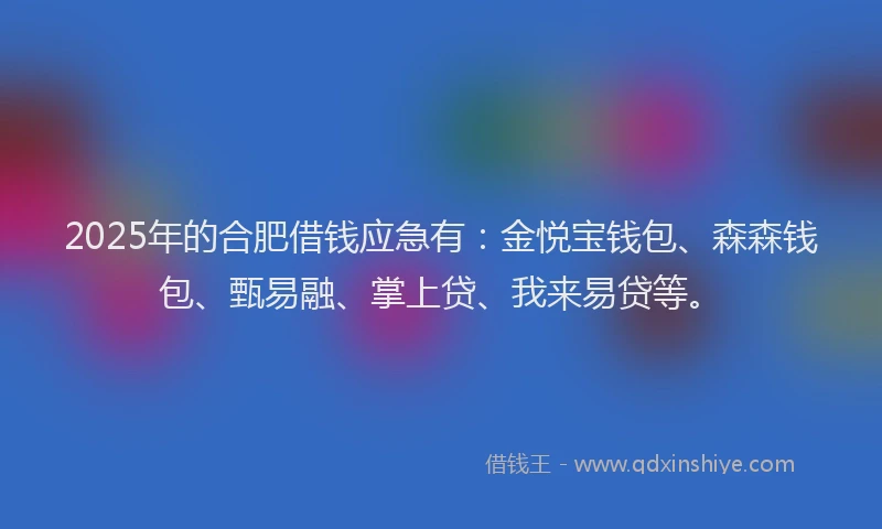2025年的合肥借钱应急有：金悦宝钱包、森森钱包、甄易融、掌上贷、我来易贷等。