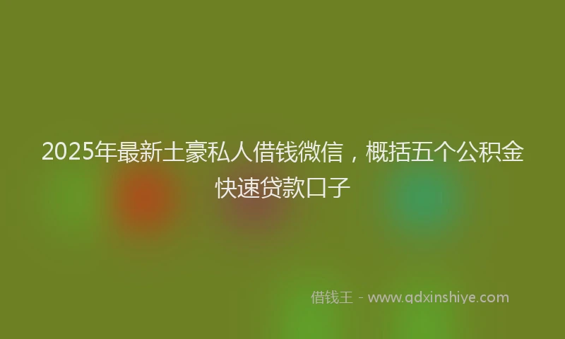 2025年最新土豪私人借钱微信，概括五个公积金快速贷款口子