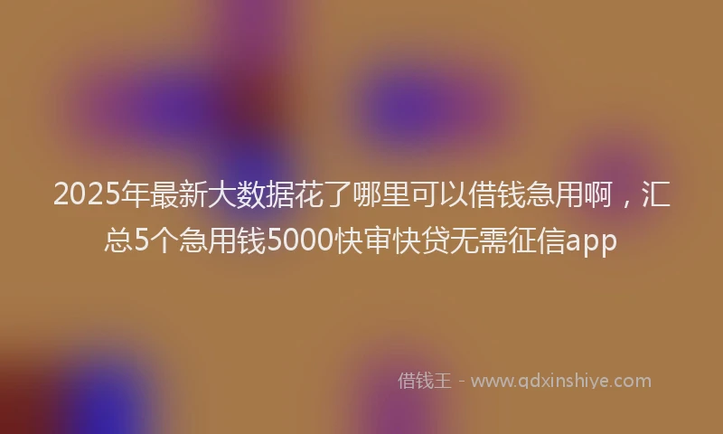 2025年最新大数据花了哪里可以借钱急用啊，汇总5个急用钱5000快审快贷无需征信app
