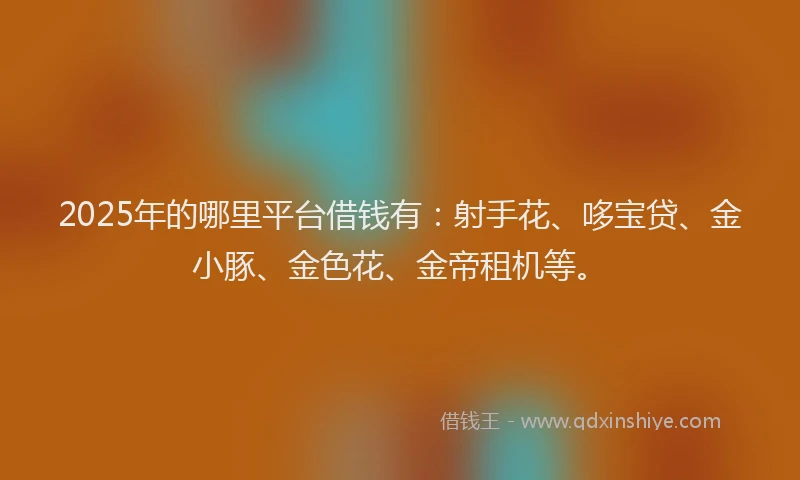2025年的哪里平台借钱有：射手花、哆宝贷、金小豚、金色花、金帝租机等。