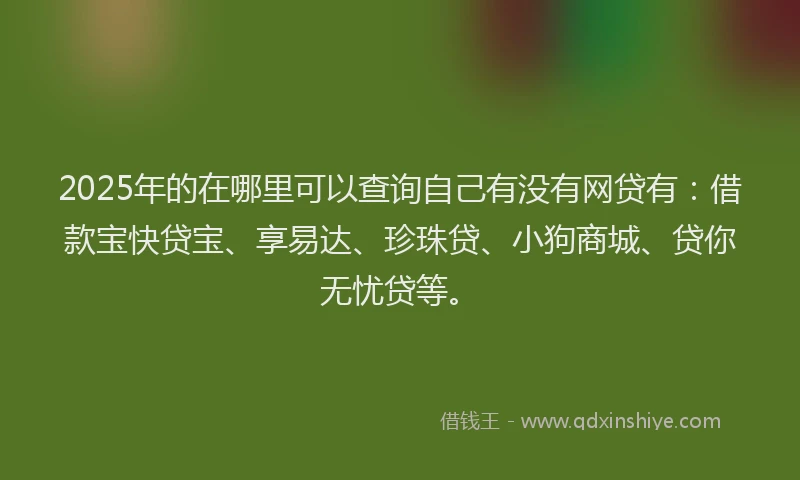 2025年的在哪里可以查询自己有没有网贷有：借款宝快贷宝、享易达、珍珠贷、小狗商城、贷你无忧贷等。