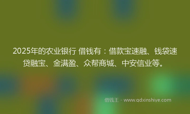2025年的农业银行 借钱有：借款宝速融、钱袋速贷融宝、金满盈、众帮商城、中安信业等。