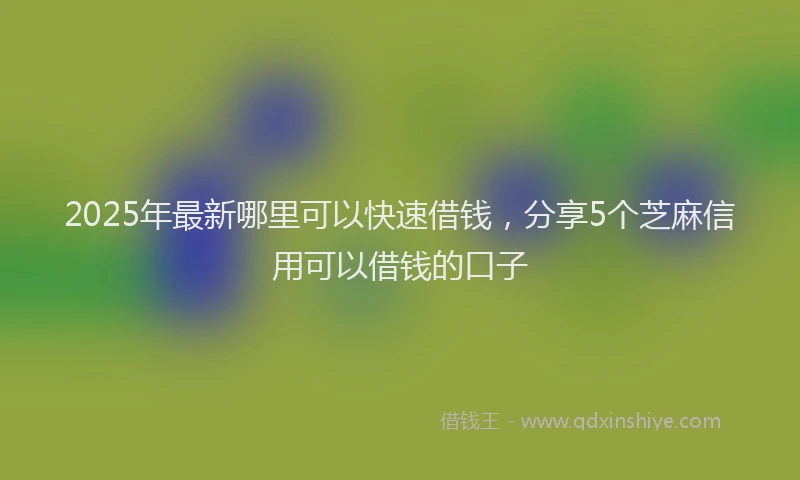 2025年最新哪里可以快速借钱，分享5个芝麻信用可以借钱的口子