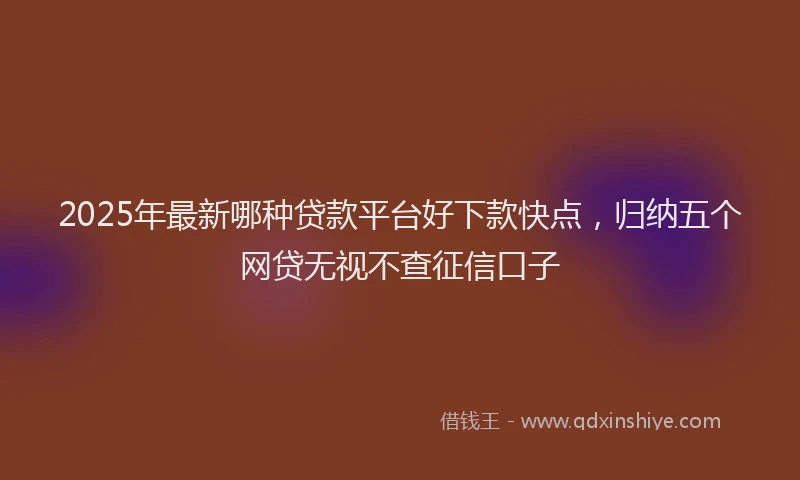 2025年最新哪种贷款平台好下款快点，归纳五个网贷无视不查征信口子