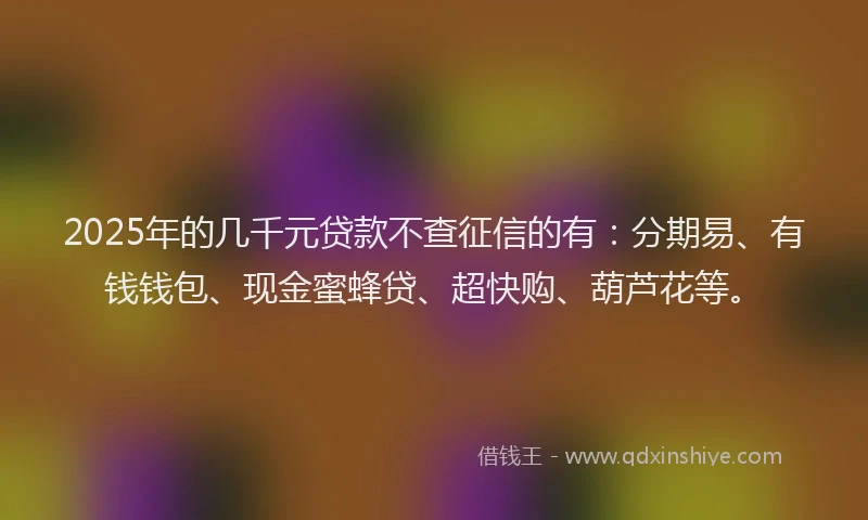 2025年的几千元贷款不查征信的有：分期易、有钱钱包、现金蜜蜂贷、超快购、葫芦花等。