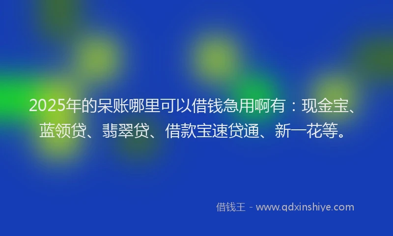 2025年的呆账哪里可以借钱急用啊有：现金宝、蓝领贷、翡翠贷、借款宝速贷通、新一花等。