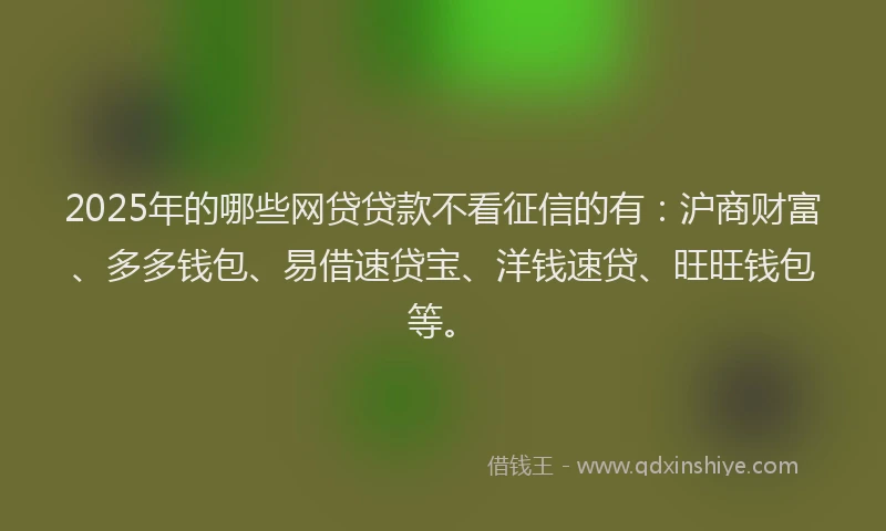 2025年的哪些网贷贷款不看征信的有：沪商财富、多多钱包、易借速贷宝、洋钱速贷、旺旺钱包等。