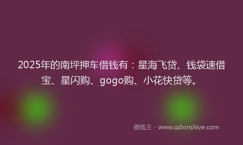 2025年的南坪押车借钱有：星海飞贷、钱袋速借宝、星闪购、gogo购、小花快贷等。