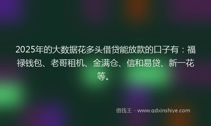 2025年的大数据花多头借贷能放款的口子有：福禄钱包、老哥租机、金满仓、信和易贷、新一花等。