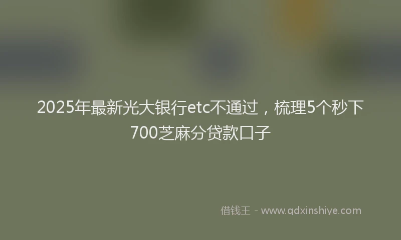 2025年最新光大银行etc不通过，梳理5个秒下700芝麻分贷款口子