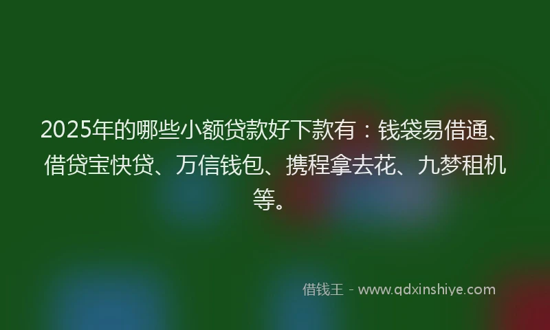 2025年的哪些小额贷款好下款有：钱袋易借通、借贷宝快贷、万信钱包、携程拿去花、九梦租机等。