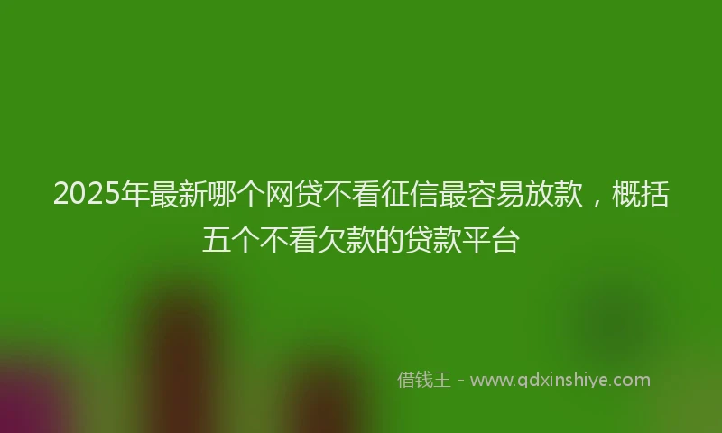2025年最新哪个网贷不看征信最容易放款，概括五个不看欠款的贷款平台
