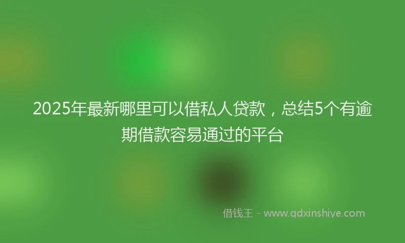 2025年最新哪里可以借私人贷款，总结5个有逾期借款容易通过的平台