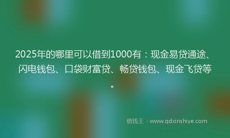 2025年的哪里可以借到1000有：现金易贷通途、闪电钱包、口袋财富贷、畅贷钱包、现金飞贷等。