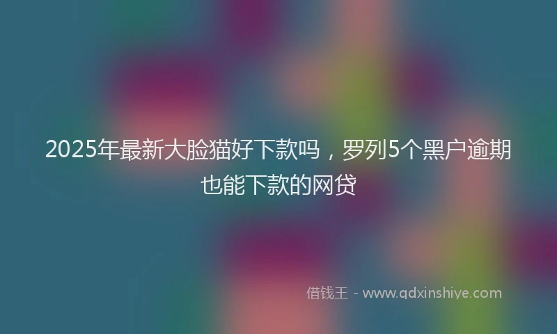 2025年最新大脸猫好下款吗，罗列5个黑户逾期也能下款的网贷