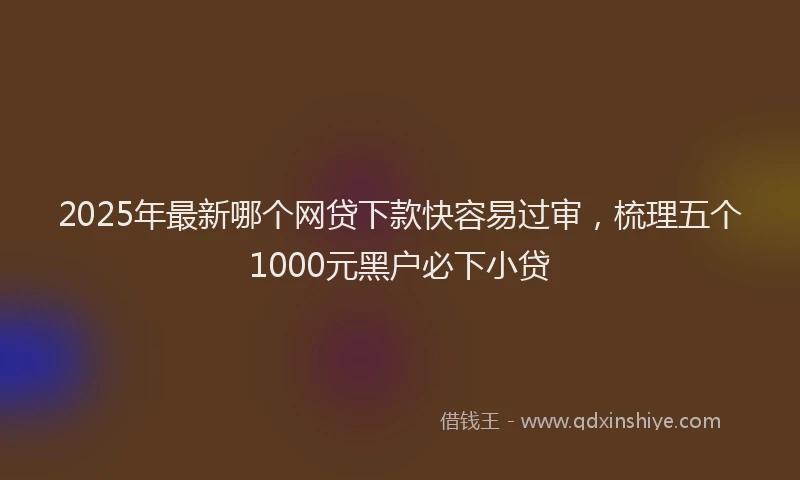 2025年最新哪个网贷下款快容易过审，梳理五个1000元黑户必下小贷