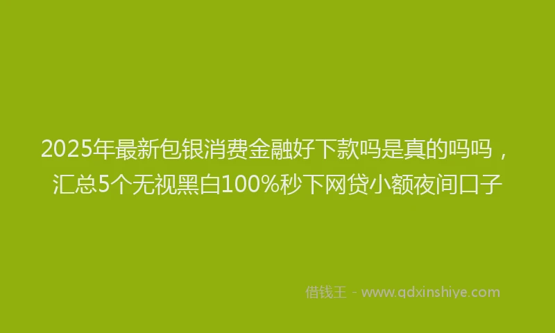 2025年最新包银消费金融好下款吗是真的吗吗，汇总5个无视黑白100%秒下网贷小额夜间口子