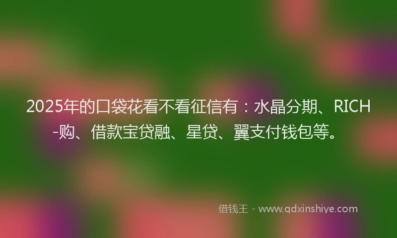 2025年的口袋花看不看征信有：水晶分期、RICH-购、借款宝贷融、星贷、翼支付钱包等。