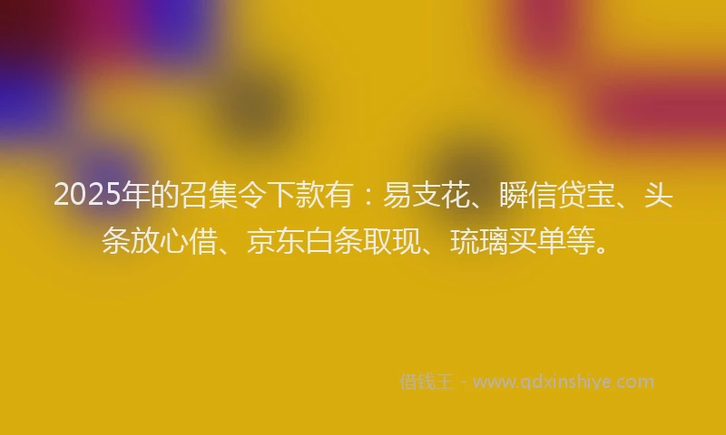 2025年的召集令下款有：易支花、瞬信贷宝、头条放心借、京东白条取现、琉璃买单等。