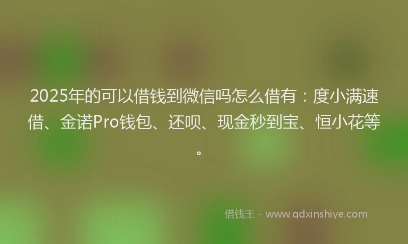 2025年的可以借钱到微信吗怎么借有：度小满速借、金诺Pro钱包、还呗、现金秒到宝、恒小花等。