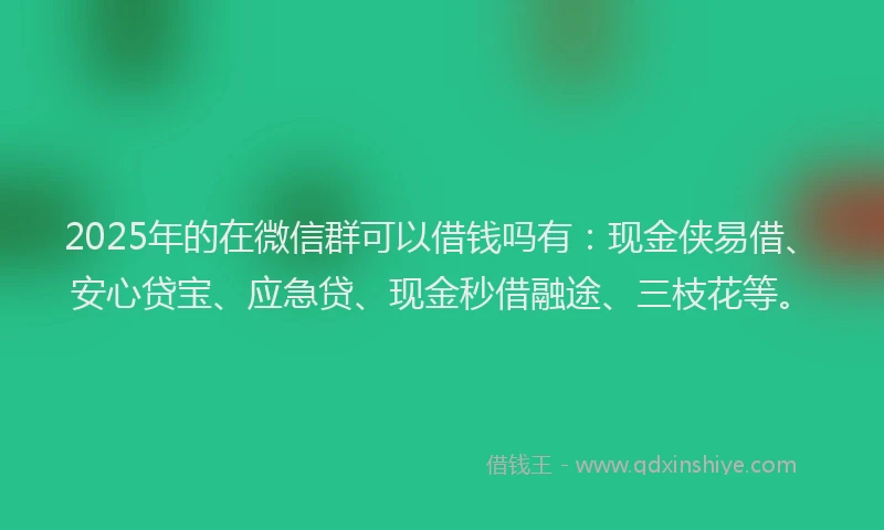 2025年的在微信群可以借钱吗有：现金侠易借、安心贷宝、应急贷、现金秒借融途、三枝花等。