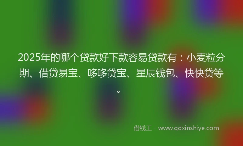 2025年的哪个贷款好下款容易贷款有：小麦粒分期、借贷易宝、哆哆贷宝、星辰钱包、快快贷等。