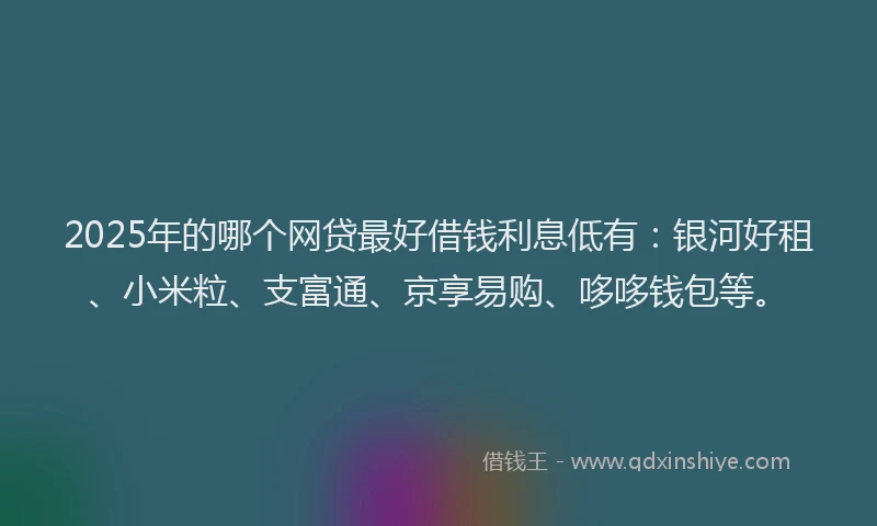 2025年的哪个网贷最好借钱利息低有：银河好租、小米粒、支富通、京享易购、哆哆钱包等。